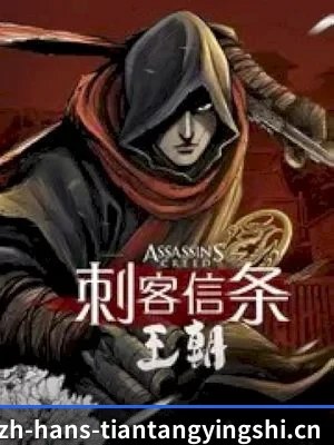 栏目丰富